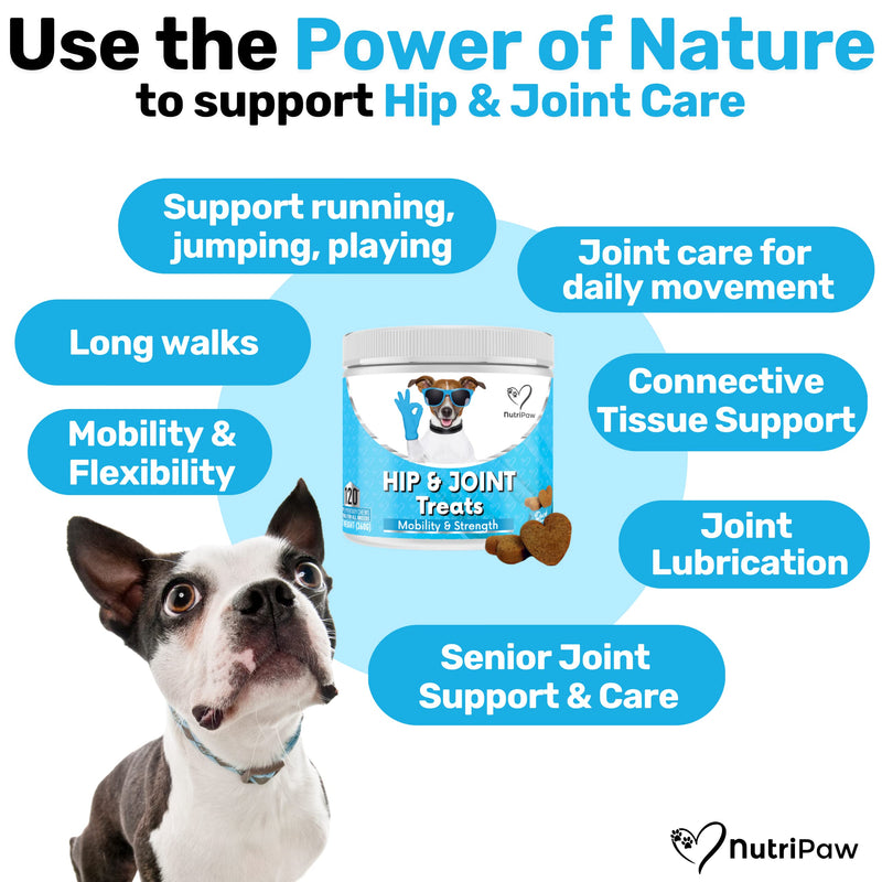 NutriPaw Joint & Hip Treats For Dogs - Stiffness, Strength, Mobility & Flexibility - Joint Supplement With Glucosamine, MSM, Chondroitin, Algae & Devils Claw - Perfect for Small, Medium & Large Dogs Single Pack