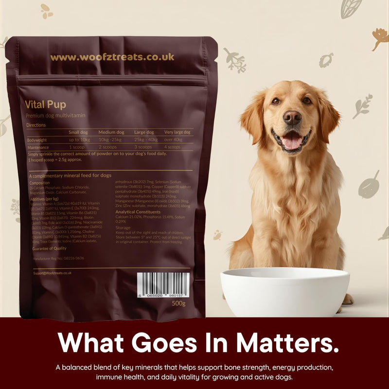 Vital Pup + Dog Multivitamin Powder, 13 Essential Vitamins & Minerals, Daily Wellness Formula, 500g, up to 200 Servings