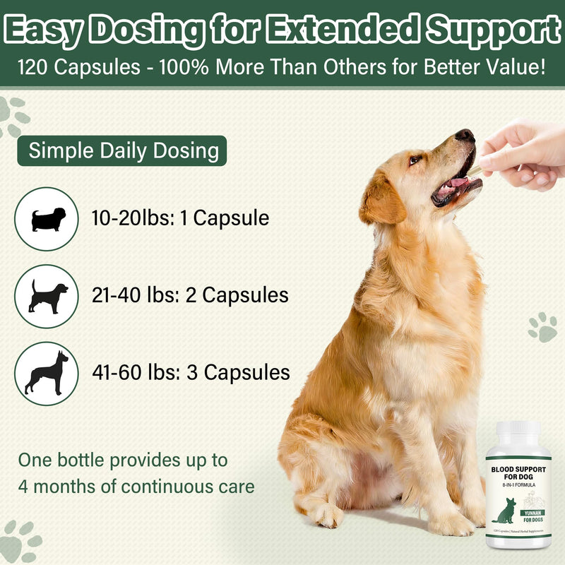 Yunnan Sanqi Herbal Capsules for Dogs – Daily Circulation & Vitality Support, 120 Capsules