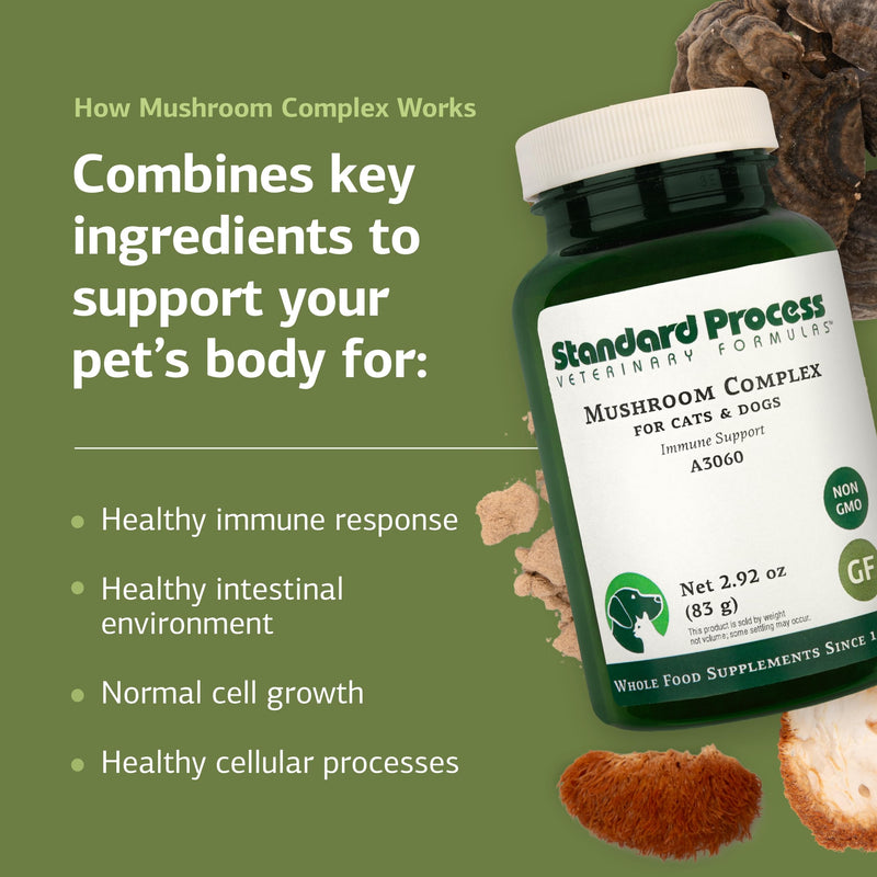 Standard Process Mushroom Complex for Dogs & Cats - Immune Support Supplement with Bovine Colostrum - Lion's Mane Extract Powder for Dog & Cat Immune Support - Essential Aid for Pet Health - 2.92 oz - PawsPlanet Australia