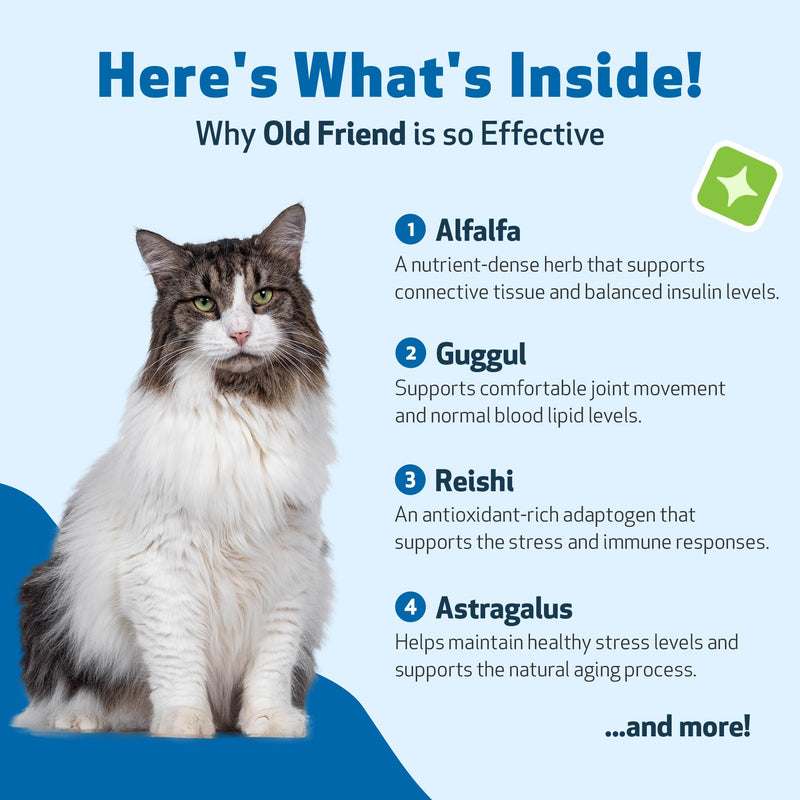 Pet Wellbeing Old Friend for Senior Cats - Supports Immune System Health, Joint Mobility, Healthy Energy Levels, Alfalfa, Reishi - Veterinarian-Formulated Herbal Supplement 4 oz (118 ml) 4 fl oz (118 ml)