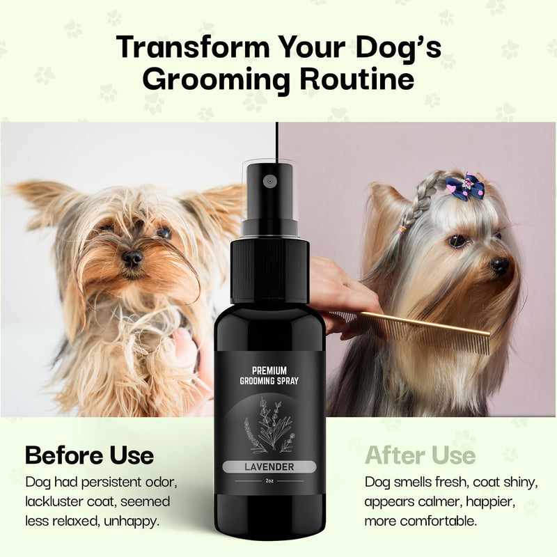 605Products | Premium Lavender Dog Cologne and Odor Eliminator - Long Lasting Dog Perfume Made with Essential Oils - Spray Deodorant for Smelly Dogs, Dog Grooming Spray (Lavender) 2 Fl Oz (Pack of 1) - BeesActive Australia