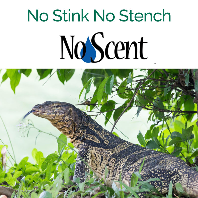 No Scent Reptile Tank Cleaner Spray & Pet Odor Management for Bearded Dragon, Turtle, Lizard Terrarium Freshener (2 Fl Oz / 59 mL) 2 Fl Oz (Pack of 1) - PawsPlanet Australia
