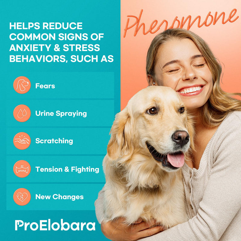 Calming atomizer for dog stress: Pheromone atomizer for dogs against anxiety - Comfort Dog Calm Pheromone Starter for home - lasts for 60 days BlueB - BeesActive Australia