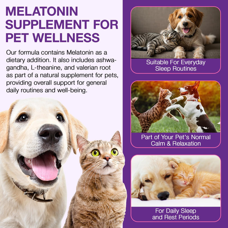Pet Melatonin Drops 60ml for Dogs & Cats, Calming Liquid Supplement for Pets, Supports Relaxation & Healthy Sleep Cycles, Anxiety Relief for Travel, Fireworks & Stress, Easy Absorption Formula 1