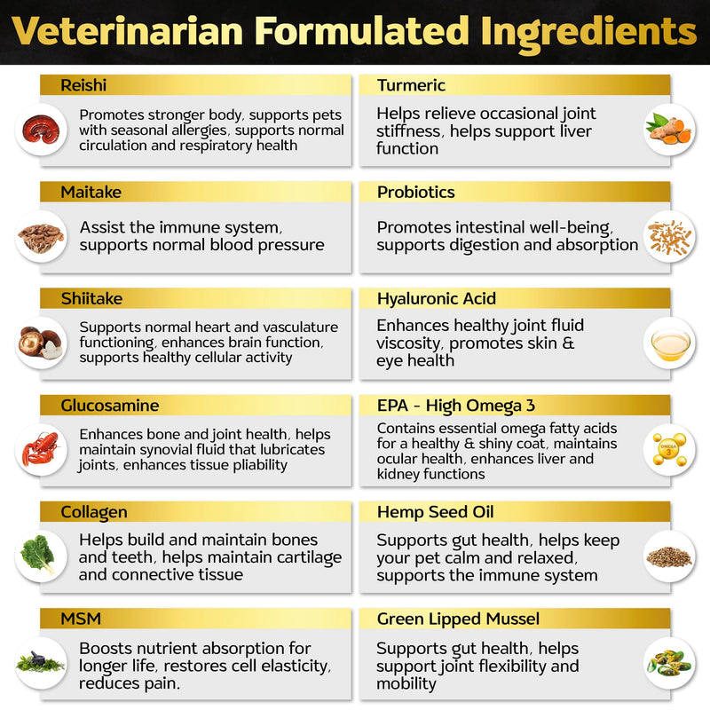 Soft Chews Hip and Joint Supplement for Dogs - Dog Joint Pain Relief Treats - Glucosamine, Chondroitin, Turmeric - Mobility Bites Supplement Hip and Joint Max Strength Bacon - 90 Soft Chews - BeesActive Australia