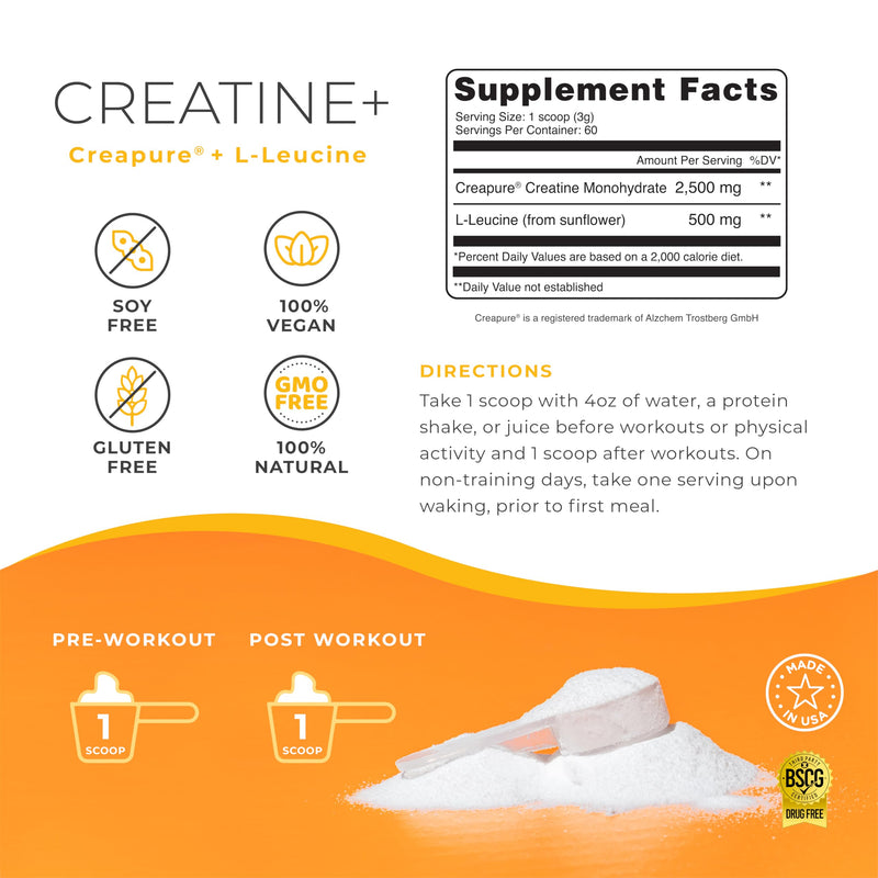 One Sol Creatine for Women Booty Gain, All Natural Women‚Äôs Creatine Powder w Creapure & Leucine, Increase Lean Muscle Mass, Reduce Recovery Time, Promotes Brain & Bone Health (Unflavored, 60 Servings) - BeesActive Australia