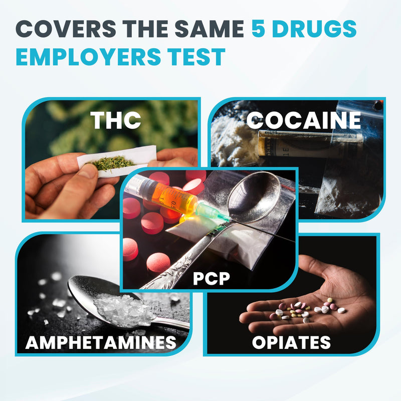 Exploro Federal Level 5 Panel Drug Test Kit - At Home Urine Drug Screen for THC, Cocaine, Amphetamines, Opiates, PCP - Accurate Results for Pre-Employment & Personal Use (Pack of 10) 10 Count (Pack of 1) - BeesActive Australia