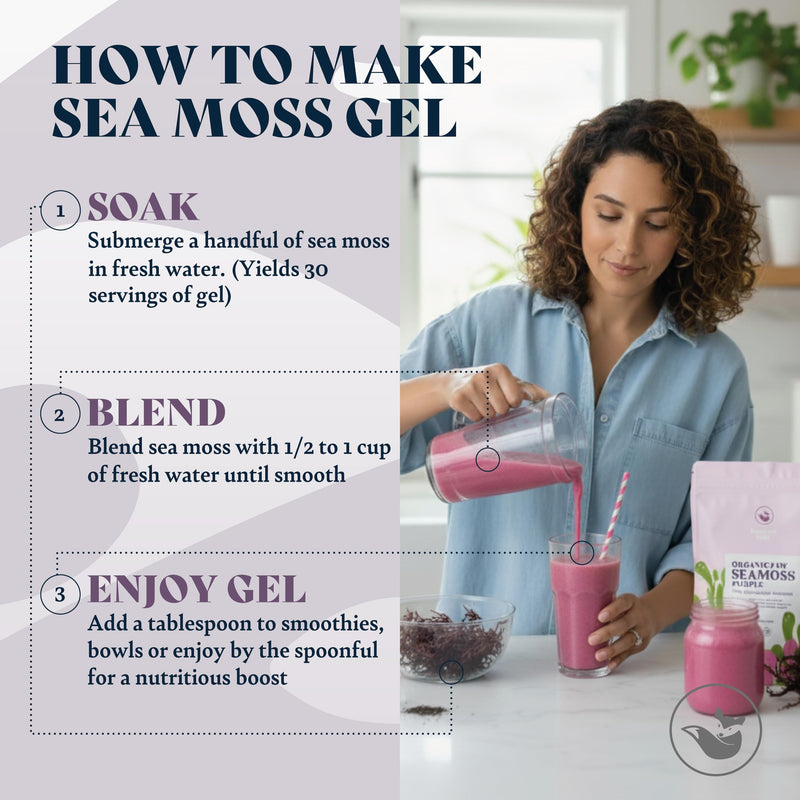 Organic Sea Moss Raw Purple - Makes 75oz of Seamoss Gel Rich in Phytonutrients & Minerals, Certified Non-GMO, Wildcrafted, Superfood - 3.5 oz Bag 3.5 Ounce (Pack of 1)