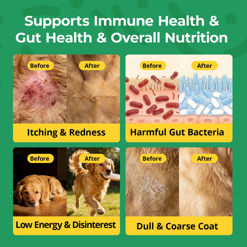 Dog Allergy Chews - Immune & Itch Relief Support with Probiotics, Fish Oil, Colostrum & Bromelain - Seasonal Allergy Relief & Skin & Coat Health - Soft Chews, Chicken Flavor, 60 Count