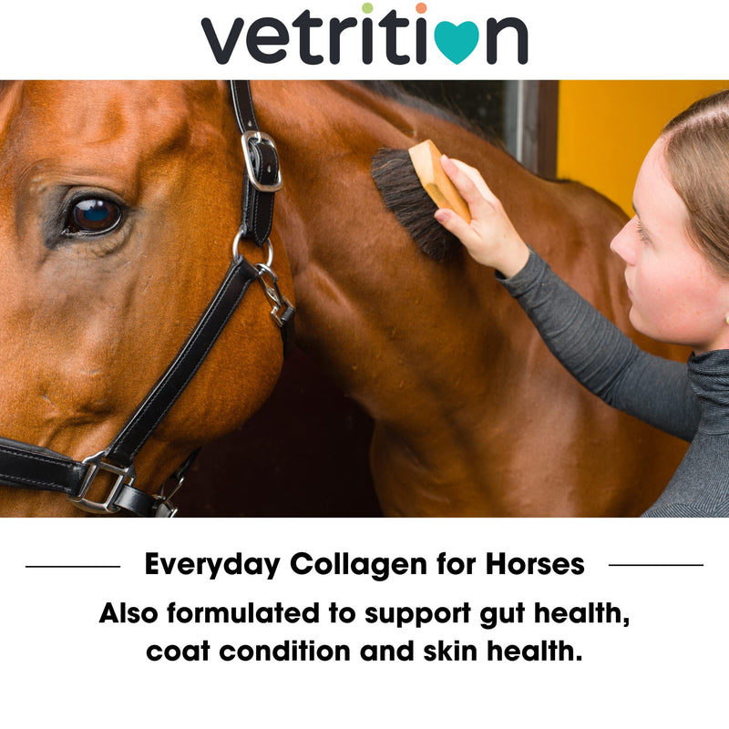 Everyday Collagen Powder for Horses, Bioactive Equine Collagen Peptide Powder, Vet Approved Horse Advanced Joint Supplement for Mobility, Skin & Muscle, All Breeds and Ages (750g)