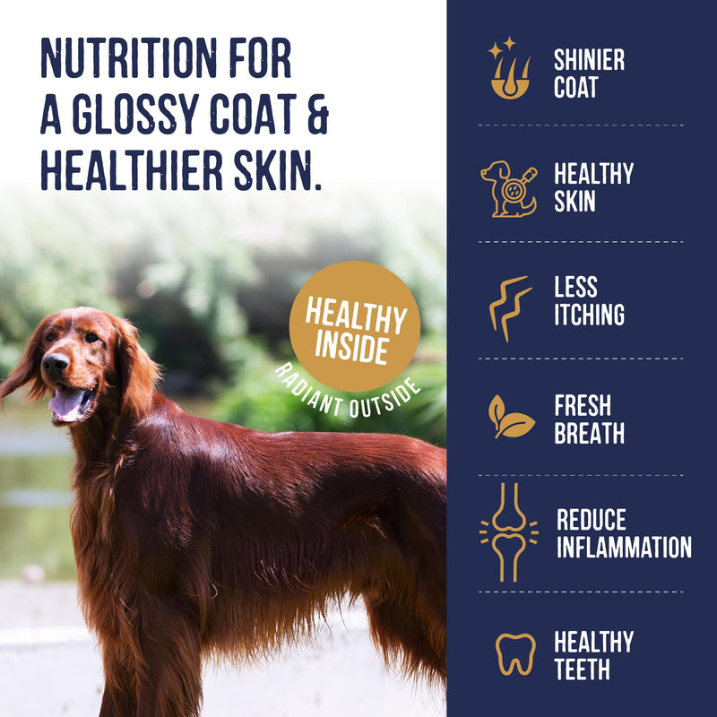 Harley & Marley Skin & Coat Super Bites for Dogs - Natural Dog Skin and Coat Supplement with Salmon, Vitamin E, DHA & Chia Seeds - Supports Healthy Skin, Shine & Coat Condition - 4pk (50/pk) Pack of 4
