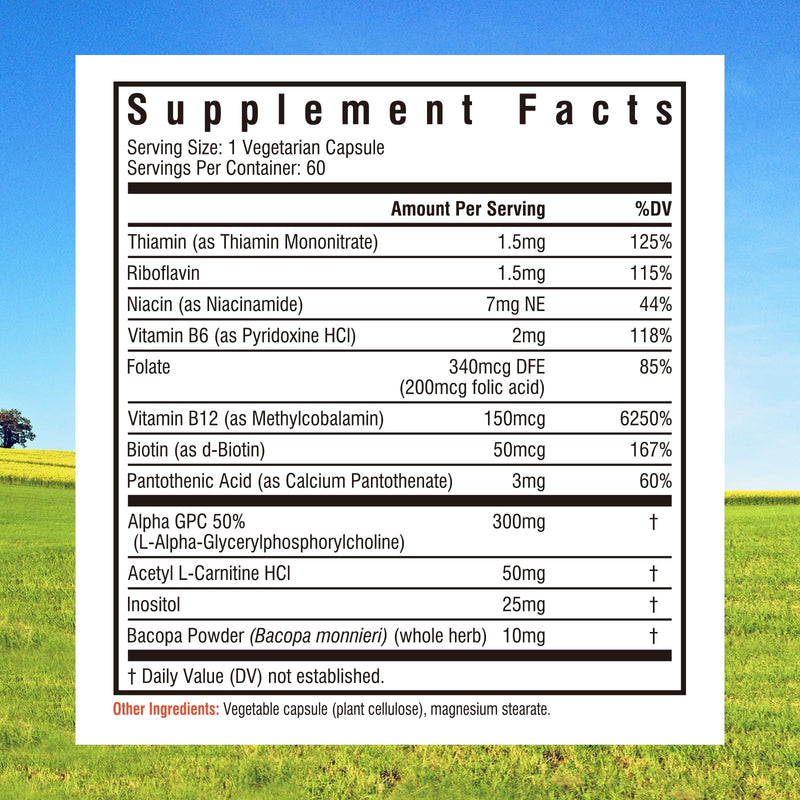 Innate Vitality Alpha GPC, Acetyl L-Carnitine, Bacopa Monnieri, Inositol, Vitamin B Complex, B6, B12, Biotin, 12-in-1 Brain Supplement, for Memory, Focus, Energy, Alertness, 60 Vegan Capsules