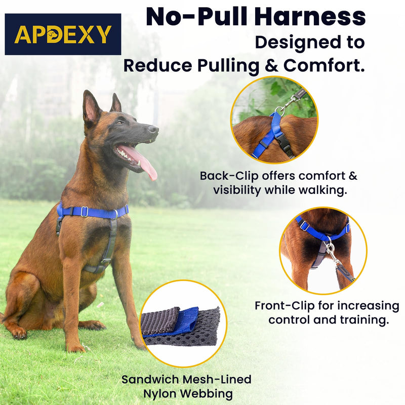 Anti Pull Dog Harness Freedom Walking, Stop Pulling with Two Stainless D-Rings, Comfortable & Lifhtweight, Sewn-in Instructions Labels for Easy Use (Blue, Large) Blue - BeesActive Australia