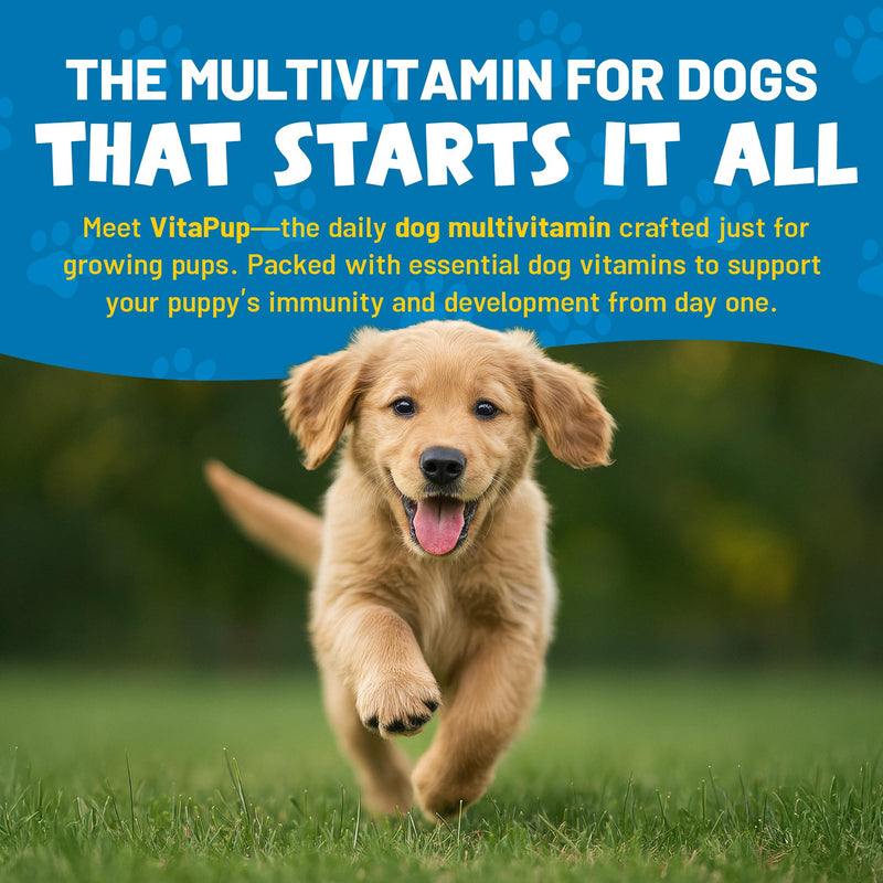 Guardian’s Choice VitaPup Puppy Vitamins Chews, Dog Vitamins for Growth, Digestion, Coat, Brain & Immune Support, Daily Multivitamin for Dogs with Omega 3, Biotin, & Calcium, 90 Tasty Soft Chews