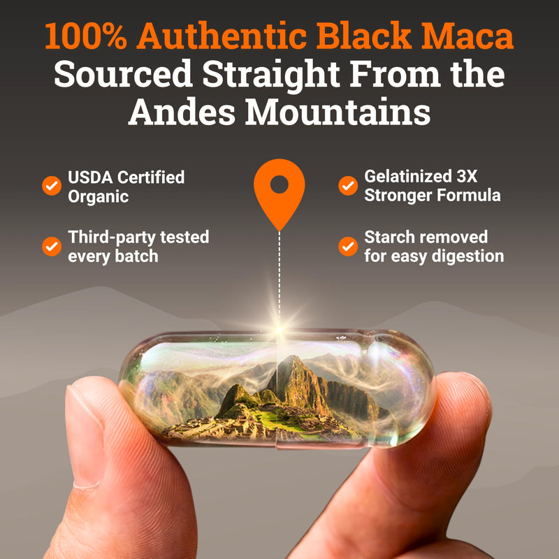 Organic Gelatinized Black Maca Root for Men & Woman 200 Capsules, 2 pack | 4x Bioavailability - Energy Supplement for Focus, Performance, Stamina & Endurance, Mood Booster, Hormone Balance, Peruvian 200 Count (Pack of 2)