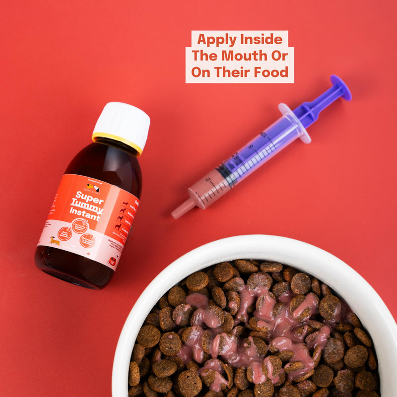 Buddy & Lola Fast-Acting Dog Diarrhea Treatment with Electrolytes - 20 Servings/100ml - Tummy Settler For Dogs All Breeds, Sizes and Ages - Syringe Included 100 ml (Pack of 1)