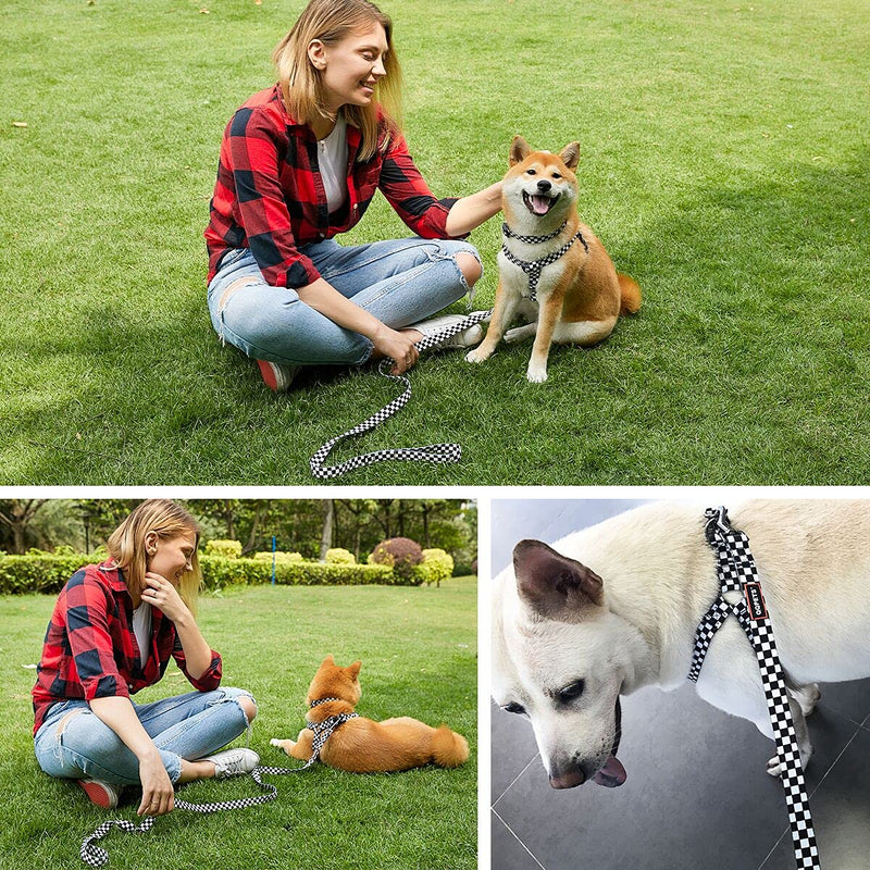 Dog Harness Collar Leash Set - No Pull Pet Adjustable Back Clip Halter Basic Collar Heavy Duty 5FT Anti-Twist Leash for Extra Small Puppy Medium Large Breed Training Running (Checkered, S) Checkered - BeesActive Australia