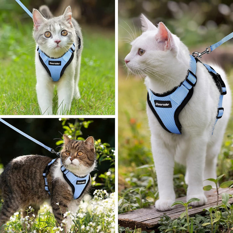 Dooradar Cat Harness with Lead, Escape-Proof Cat Lead with Harness for Medium Cats, Reflective Cat Harness, Large Cat, XS, Light Blue XS (Pack of 1) - BeesActive Australia