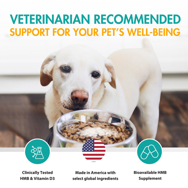 Muscle Support Dog Supplements for Large Breed (21lbs+) with CaHMB & Vitamin D3 – Supports Strength, Mobility & Daily Activity for All Ages & Senior Dog – (30 Capsules) 430 mg