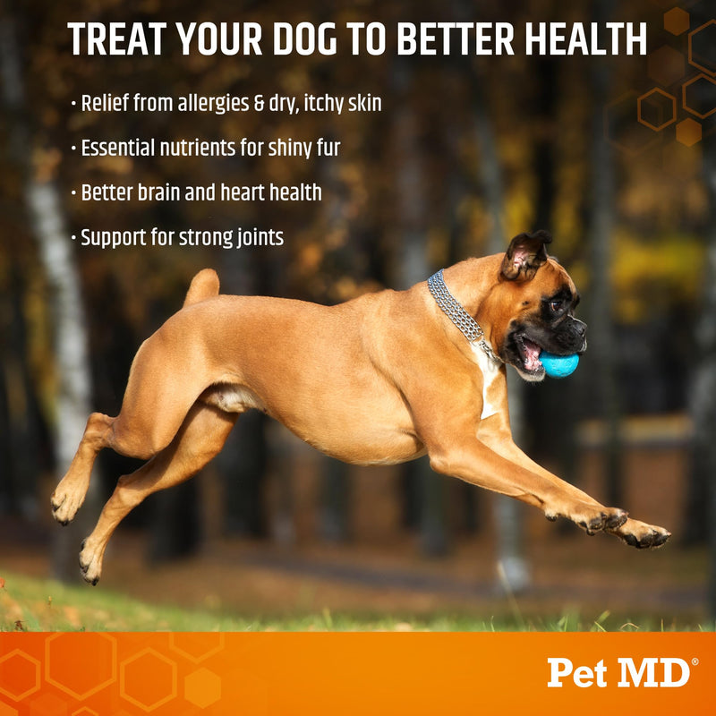 Pet MD Salmon Omega Bites for Dogs - Dog Skin and Coat Supplement with Omega 6 for Dogs & Omega 3 Fish Oil for Dogs Plus DHA & EPA - Promote Dog Allergy Relief & Dry Skin Relief for Dogs - 60 ct 60ct - BeesActive Australia