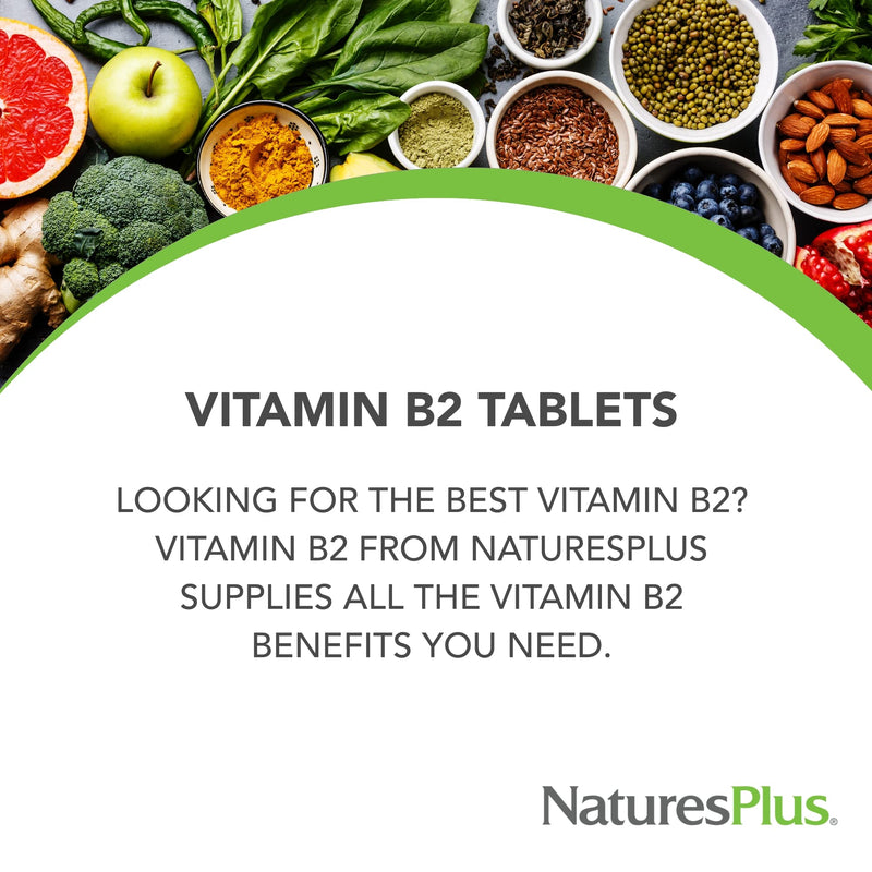 NaturesPlus Vitamin B2 100 mg - 90 Tablets - Supports Energy, Immune Health & Vibrant Hair, Skin, and Nails - Antioxidant Protection - Vegetarian, Gluten Free - 90 Servings 1 Count (Pack of 1)