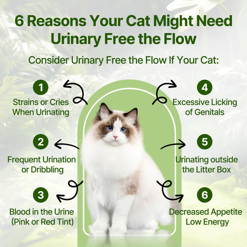 Cat Bladder Treatment for Stones & Crystals, Kidney Stones Dissolver for Cat - Urinary Tract Infection Treatment for Kidney and Bladder Stones, Herbal CatUTI Remedy for Stone Relief & Prevention