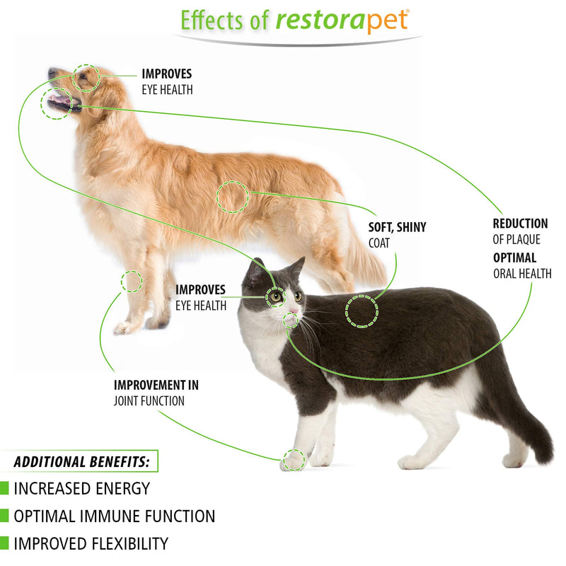RestoraPet 1-Pack Dog & Cat Beef Liquid Multivitamin | Dog Arthritis Pain Relief | Hip & Joint Vitamins for Dogs - Anti Inflammatory Supplement for Dogs & Cats | Organic & Non-GMO, Vet Approved 1-Pack (2 oz / bottle) - BeesActive Australia