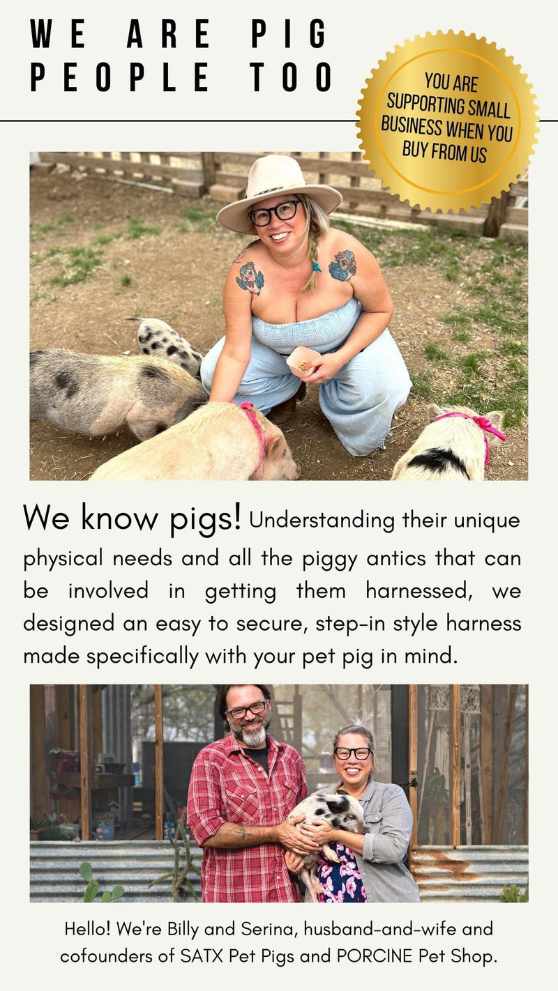 Pig Harness Leash-Fully Adjustable Pig Leash Harness for Small & Medium Pigs-Easy Step in Harness-Infinity Style Pet Pig Leash-Durable & Gentle Mini Pig Harness-Mini Pig Supplies (Small-Mauve Pink) Mauve Pink - BeesActive Australia