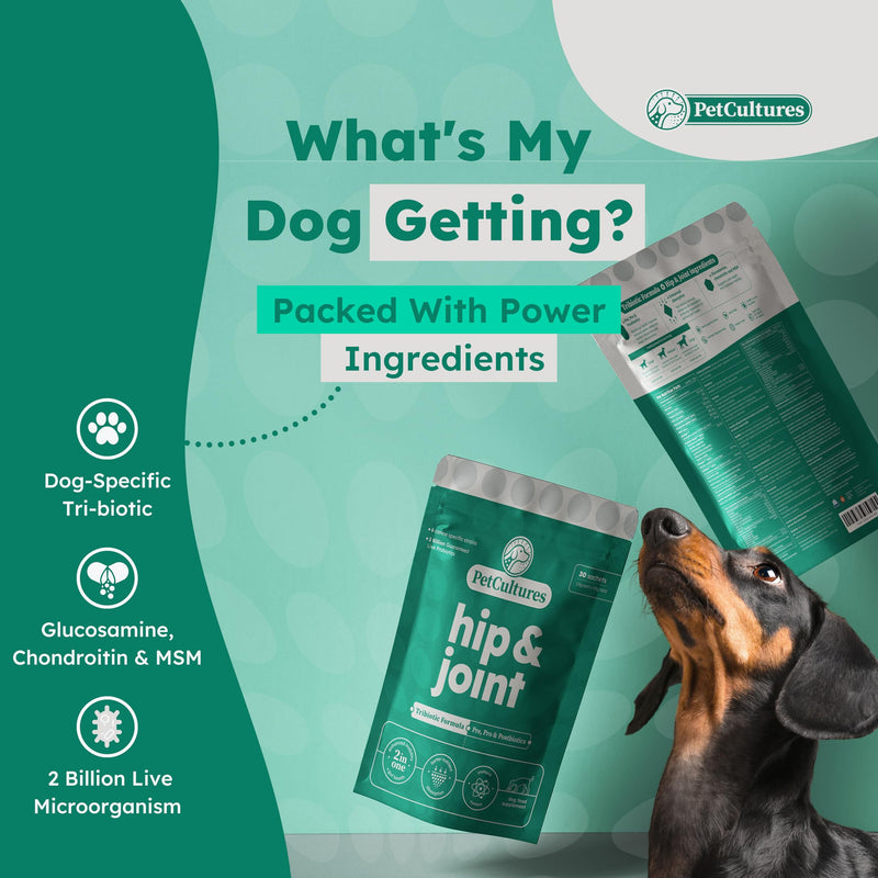 Joint Support Supplement for Dogs - Glucosamine for Dogs Hip and Joint Supplement, Dog Arthritis Supplement, Dog Pain Relief Medication, Probiotics for Dogs, 30 pcks Powder Made in USA Hip and Joint PRO - PawsPlanet Australia