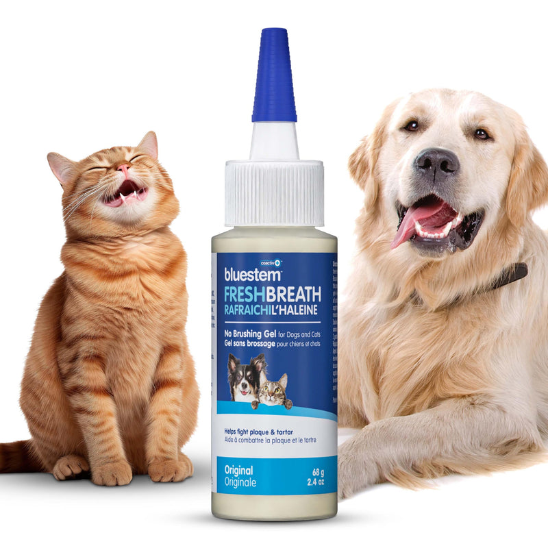 bluestemTM No Brush Dog Dental Gel - Dog Oral Gel to Freshen Breath, and Fights Plaque and Tartar - Brushless Toothpaste for Dogs Original 2.4 Ounce (Pack of 1) - PawsPlanet Australia