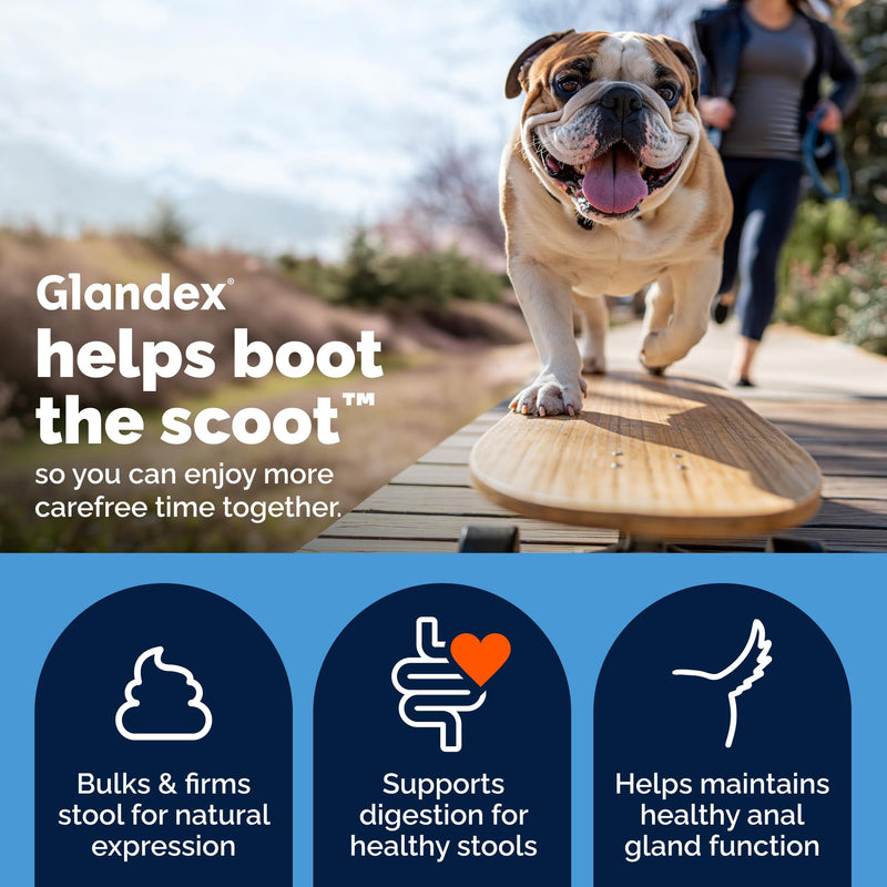 Vetnique Glandex for Dogs Prebiotic & Probiotic Supplement Chews 30 Count Bacon Flavor Plus Glandex Anal Gland Support Chews 30 Count Peanut Butter Flavor Bundle, 5-Strain Probiotics for Dogs