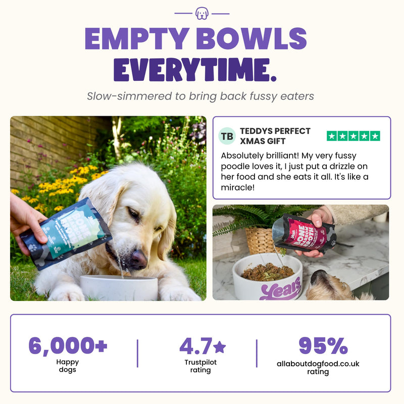 YEARS Chicken & Beef Bone Broth for Dogs - Tempts Fussy Eaters, Gentle on Tummies & Supports Joints | Liquid Dog Food Topper & Gravy | Natural Collagen | 2 x 230ml 460ml Chicken & Beef Broth