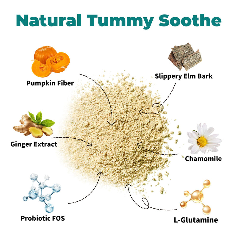 Dog Upset Stomach Relief for Nausea | Probiotics for Dogs | Soothe Upset Stomach | Dog Slippery Elm & Pumpkin | Support Digestive Health | 2.12 OZ Chicken Flavor