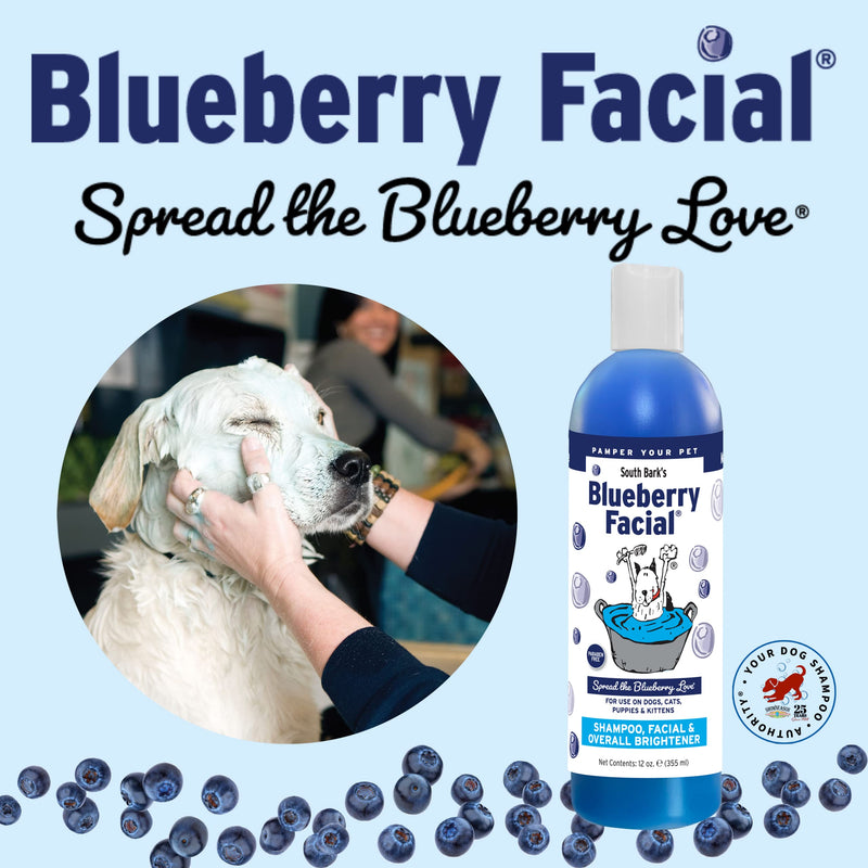 South Bark's Blueberry Facial® Pet Shampoo 12 oz. | Brightener & Tear Stain Remover | Long-Lasting Odor Eliminator | Cruelty-Free | Paraben-Free | Made in The USA 12 Fl Oz (Pack of 1) - BeesActive Australia
