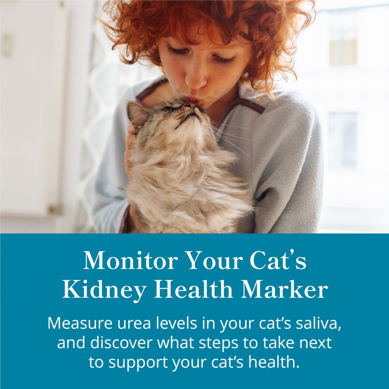 Petivity At-Home Kidney Health Test Kit for Cats — Quick Saliva Urea Test (2-Minute Home Check), Powered by Purina — Help Detect Early Kidney Changes - (Pack of 1) 1 Ounce (Pack of 1)