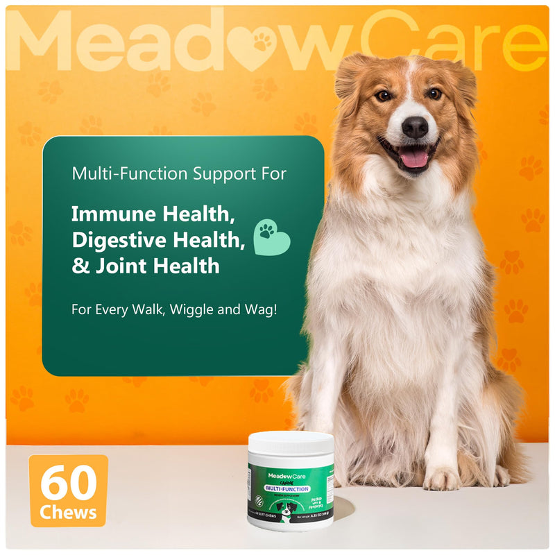 Hip and Joint to Supports Bone, Cartilage & Connective Tissue & Multi-Function to Support Joint Mobility, Skin, Coat & Immune System, Bundle for Dogs