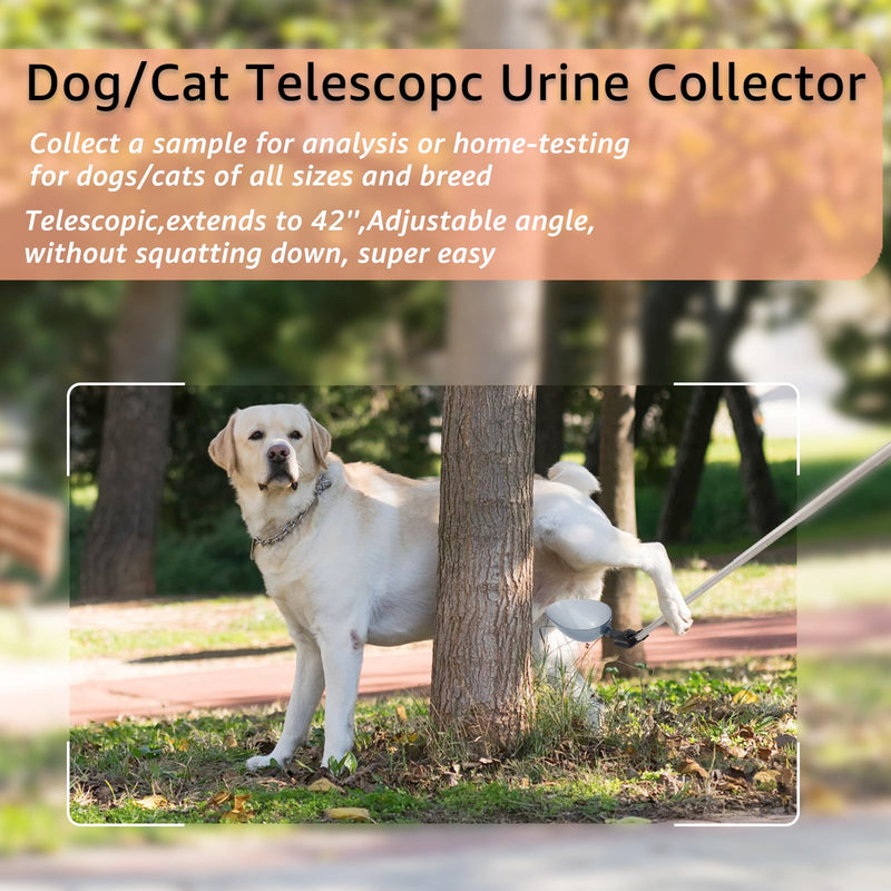 Dog Cat Urine Collector - Telescopic Urine Sample Catcher for UTI Test Kit,Dog Pee Stick for Veterinary Supplies.Dog Pregnancy Pee Test Kit(Basic Kit) basic kit - BeesActive Australia
