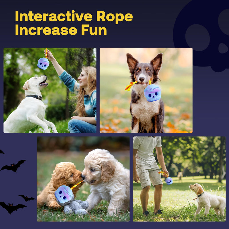 Dog Toy with Rope and Mold to Frozen Treat, Natural Rubber, Safe and Indestructible Dog Chew Toy for Medium and Large Dog, Interactive Dog Toy Keeps Dog Busy, Easy to Clean Dog Licking Toy - BeesActive Australia