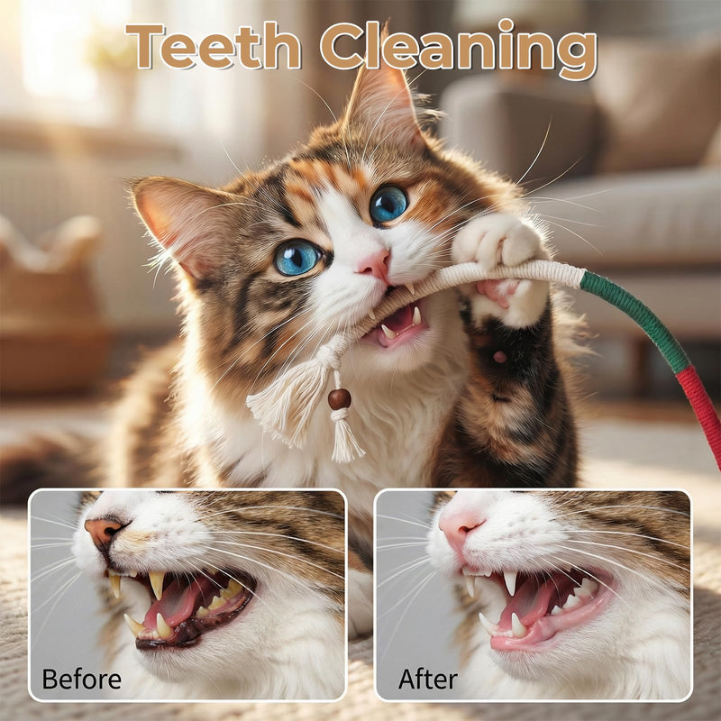 7 Pcs Cat Chew Toys Cat Toy, Rope & Silvervine Sticks, Cats Toys for Indoor Cats, Kitten Teething Dental Care, Teeth Cleaning & Boredom Relief