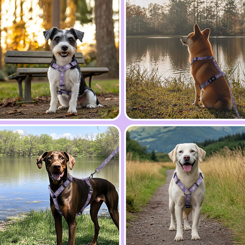 Dog Harness Leash Set, No Pull Adjustable Halter Cute Comfort Padded Handle for Medium Sized Large Small Dogs Walking Training Running with Reflective（Small,Purple） Purple - BeesActive Australia
