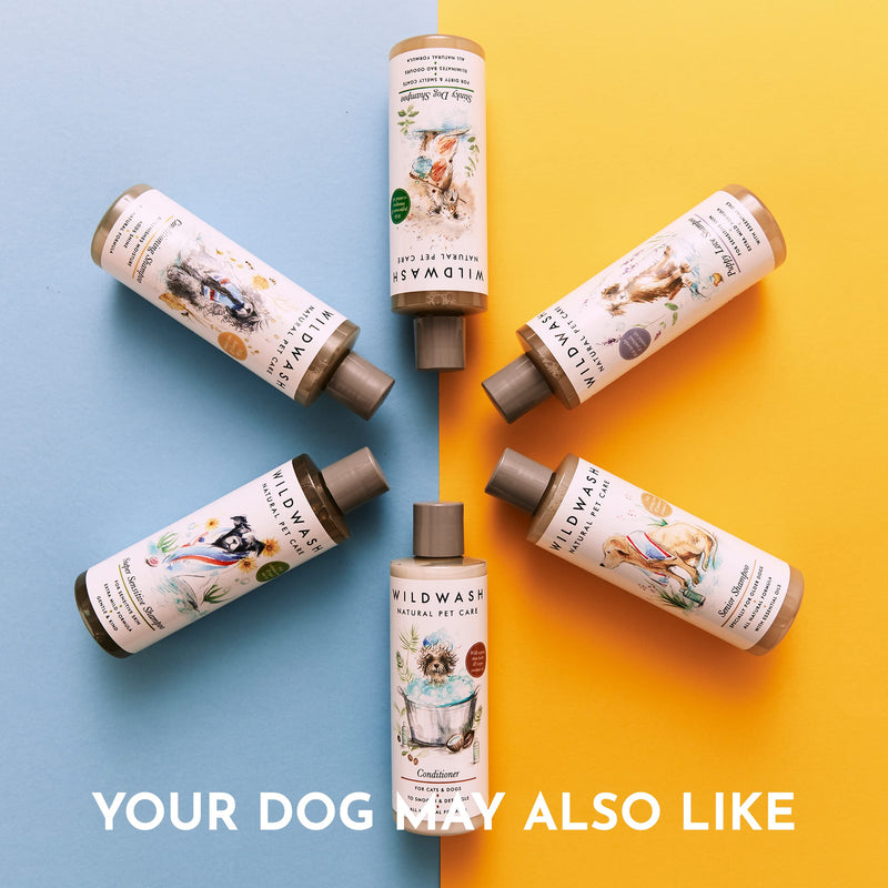 WildWash Daily Eye Cleanser for Dogs 300ml - Chamomile to Cleanse and Brighten and Cucumber to Calm, Hydrate and Refresh Natural, Sulphate and Paraben-Free for Sensitive Skin