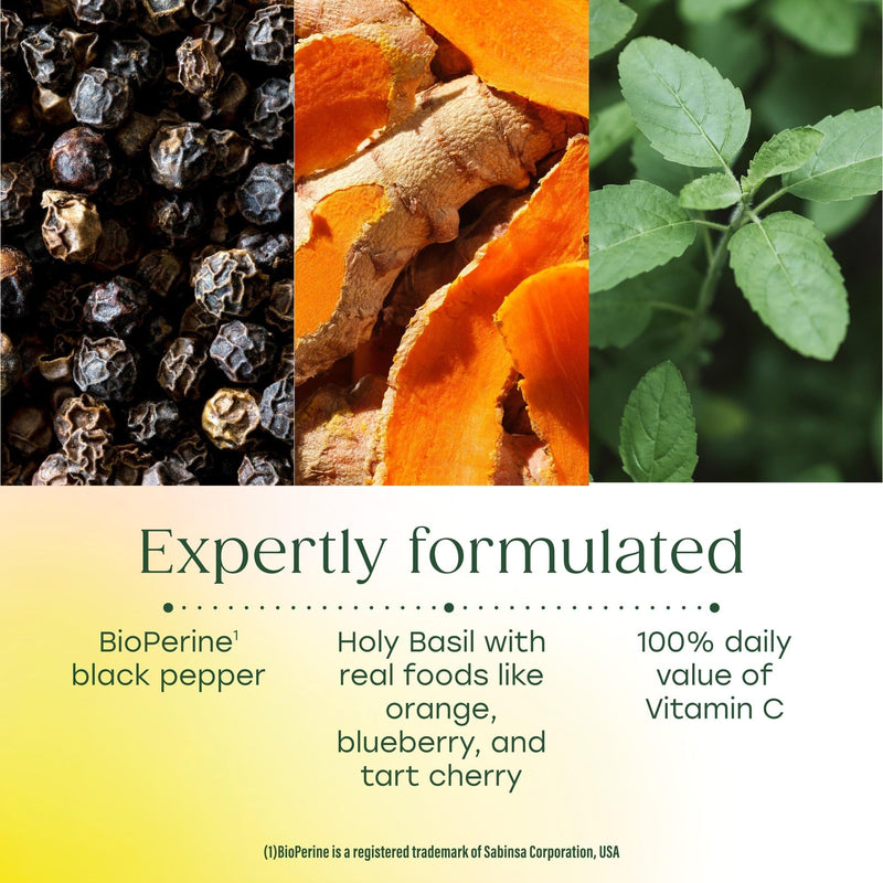 MegaFood Daily Turmeric Powder, Turmeric Supplement, Vegan, 2.08 Oz | Daily Support for Post Workout with Antioxidant Vitamin C, with Black Pepper Extract, Tart Cherry & Holy Basil, 30 Servings 2.08 Ounce (Pack of 1)