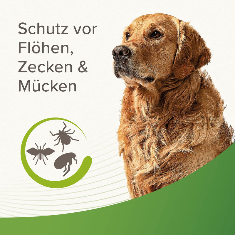 BEAPHAR - tick and flea protection spray for dogs from 12 weeks - immediate effect - 7 days protection against ticks, fleas and mosquitoes - immediate protection - simply spray on and protect your dog - 150 ml - BeesActive Australia