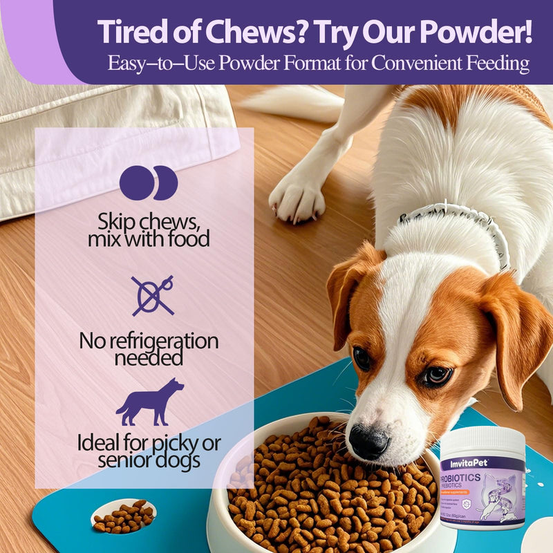 Probiotics for Dogs - Dog Probiotics Powder for Digestive Health, Gut Support, & Immune Boost – Maximum Potency with Digestive Enzymes & Prebiotics - 60Grams 1
