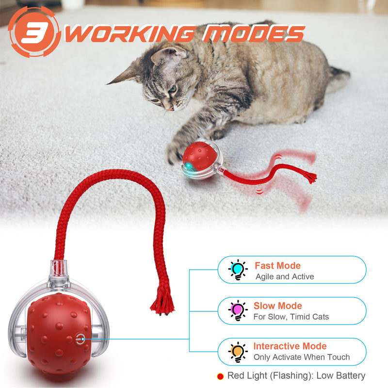 IOKHEIRA Interactive Cat Toys Ball, Motion Activate Electric Cat Toy, Automatic Pet Exercise Toys, Simulate Bird Calls, USB Rechargeable (Long Tail) - BeesActive Australia