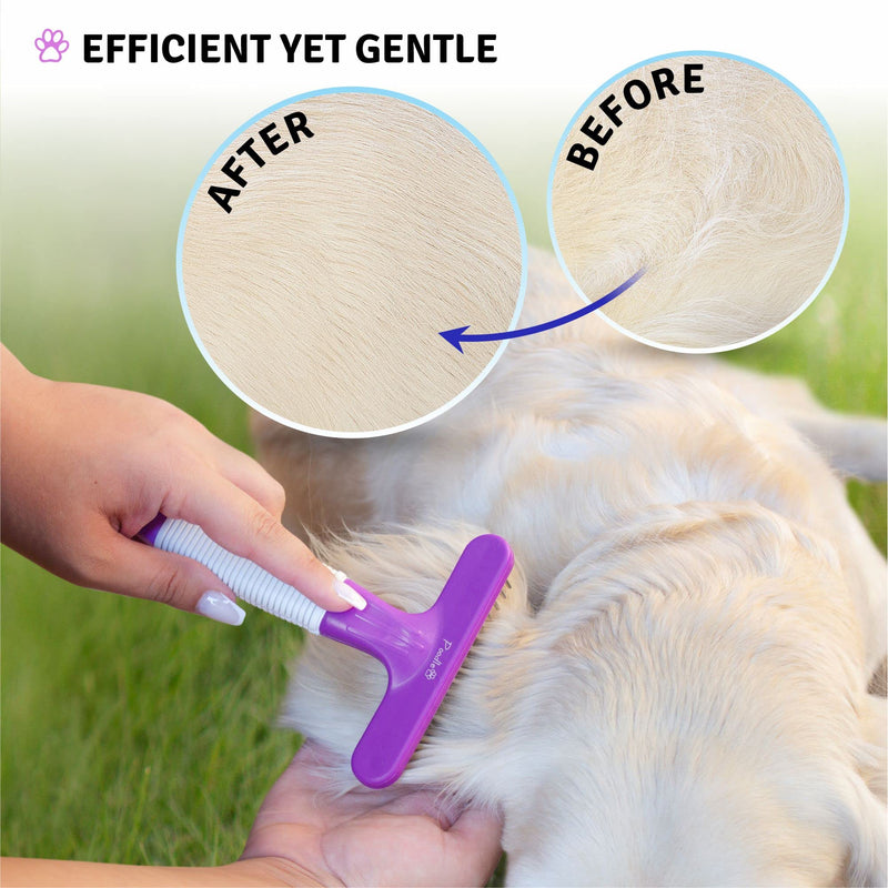Round Bristle Pet Brush + Dog Grooming Rake + Cat Nail Clipper Bundle - BeesActive Australia