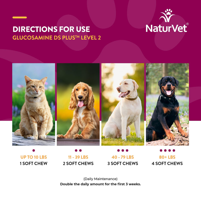 NaturVet – Glucosamine DS Plus - Level 2 Moderate Care – Supports Healthy Hip & Joint Function – Enhanced with Glucosamine, MSM & Chondroitin – for Dogs & Cats – 240 Soft Chews Glucosamine-DS Level 2 - BeesActive Australia