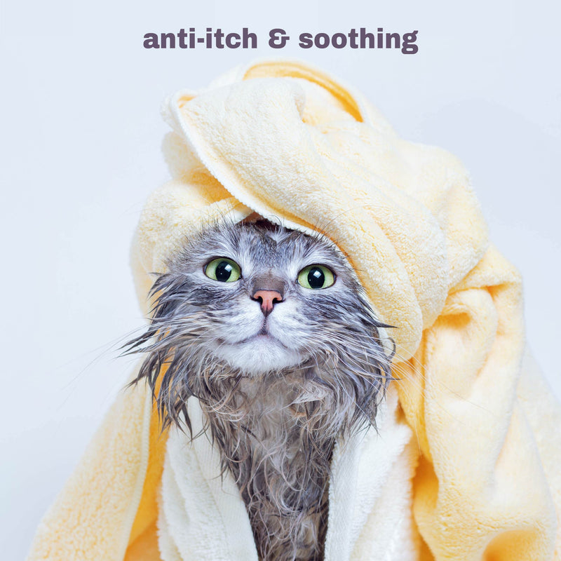 Soothing Hypoallergenic Cat Shampoo – Easy at-home Cat Grooming | Deodorizes | Gentle & Anti-itch | Natural & Allergy-safe Cat Shampoo Sensitive Skin – Fragrance Free | 9 fl oz - BeesActive Australia
