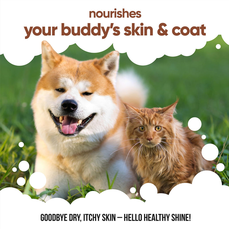 Buddycare Flaxseed Oil - 16.90 fl.oz - Natural Supplement for Dogs & Cats - Rich in Omega-3 Fatty Acids for a Healthy Coat and Skin